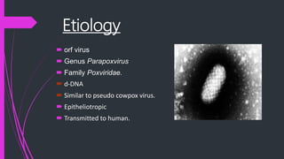 Etiology
 orf virus
 Genus Parapoxvirus
 Family Poxviridae.
 d-DNA
 Similar to pseudo cowpox virus.
 Epitheliotropic
 Transmitted to human.
 
