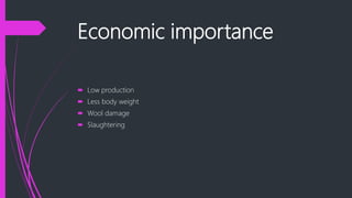 Economic importance
 Low production
 Less body weight
 Wool damage
 Slaughtering
 