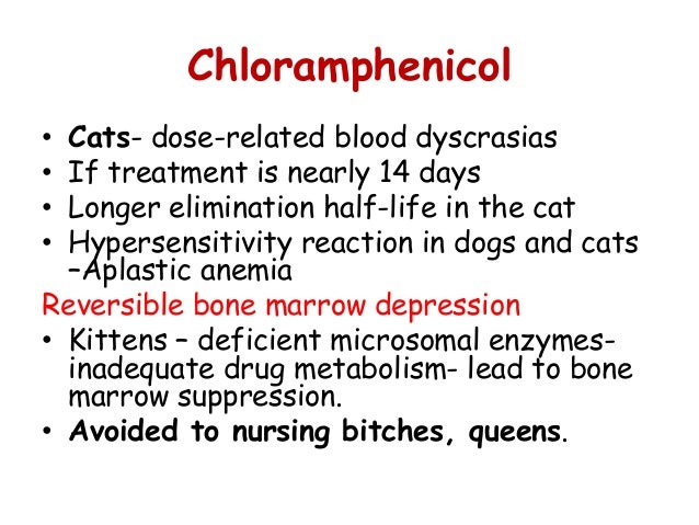 Erythromycin Dosage For Cats