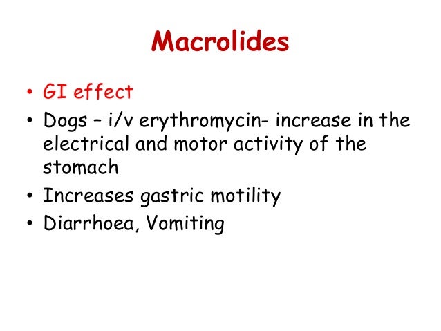 Macrolides Treatment In Dogs And Cats Macrolides Treatment In Dogs And Cats