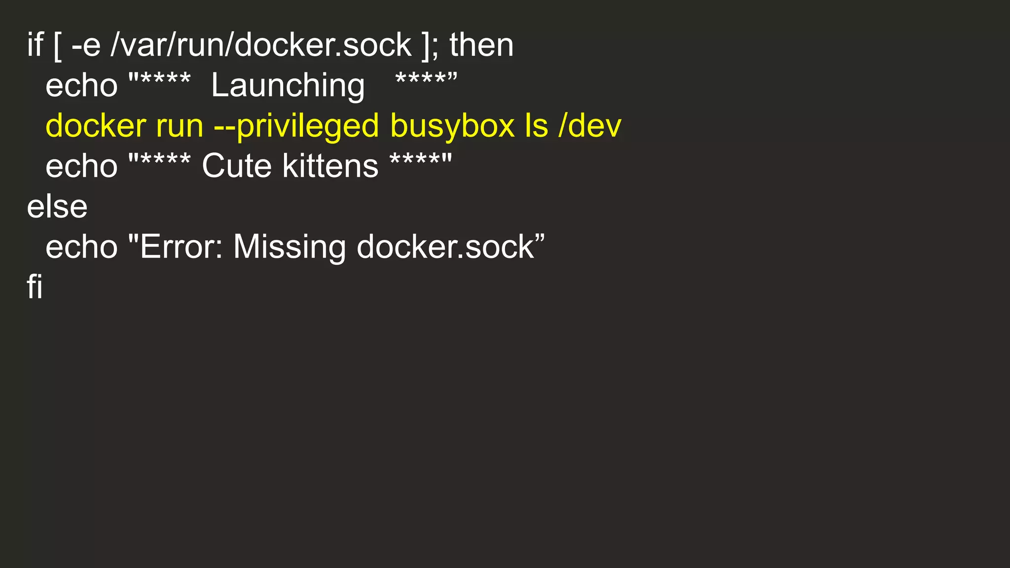 if [ -e /var/run/docker.sock ]; then
echo "**** Launching ****”
docker run --privileged busybox ls /dev
echo "**** Cute kittens ****"
else
echo "Error: Missing docker.sock”
fi
 