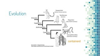 Evolution
containerd
 