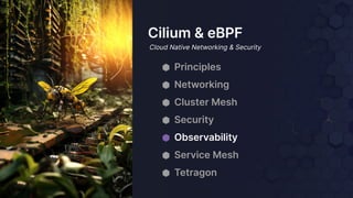 ⬢ Principles
⬢ Networking
⬢ Cluster Mesh
⬢ Security
⬢ Observability
⬢ Service Mesh
⬢ Tetragon
Cilium & eBPF
Cloud Native Networking & Security
 