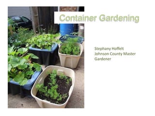 Stephany Hoffelt
Johnson County Master
Gardener

 