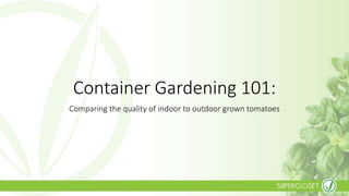 Container Gardening 101:
Comparing the quality of indoor to outdoor grown tomatoes
 