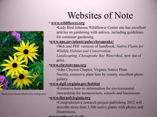 Websites of Note
                                           • www.wildflower.org
                                               •Lady Bird Johnson Wildflower Center site has excellent
                                               articles on gardening with natives, including guidelines
                                               for container gardening
                                           •www.nps.gov/plants/pubs/chesapeake/
                                               •Web and PDF versions of handbook, Native Plants for
                                               Wildlife Habitat and Conservation
                                               Landscaping, Chesapeake Bay Watershed, now out of
                                               print.
                                           •www.claytonvnps.org
                                               •John Clayton Chapter, Virginia Native Plant
                                               Society, extensive plant lists by county, excellent photo
                                               gallery.
                                           •www.dgif.virginia.gov/habitat
                                               •Extensive how-to information for environmental
Black Eyed Susan (Rudbeckia heliopsidis)       stewardship for homeowners, schools and businesses.
                                           •www.floraofvirginia.org
                                               •Comprehensive research project publishing 2012 will
                                               describe more than 3,500 native plants with photos and
                                               illustrations.
 