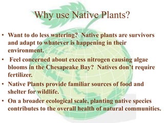 Why use Native Plants?
• Want to do less watering? Native plants are survivors
  and adapt to whatever is happening in their
  environment.
• Feel concerned about excess nitrogen causing algae
  blooms in the Chesapeake Bay? Natives don’t require
  fertilizer.
• Native Plants provide familiar sources of food and
  shelter for wildlife.
• On a broader ecological scale, planting native species
  contributes to the overall health of natural communities.
 