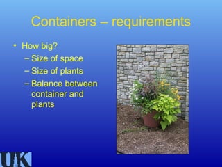 Containers – requirements
• How big?
  – Size of space
  – Size of plants
  – Balance between
    container and
    plants
 