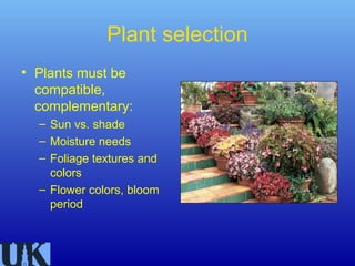 Plant selection
• Plants must be
  compatible,
  complementary:
  – Sun vs. shade
  – Moisture needs
  – Foliage textures and
    colors
  – Flower colors, bloom
    period
 
