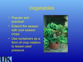 Vegetables
• Popular and
  practical
• Extend the season
  with cool season
  crops
• Use containers as a
  form of crop rotation
  to lessen pest
  pressure
 