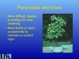 Perennials and trees
• More difficult, require
  a strategy for over-
  wintering
• Must divide or repot
  occasionally to
  maintain or control
  vigor
 