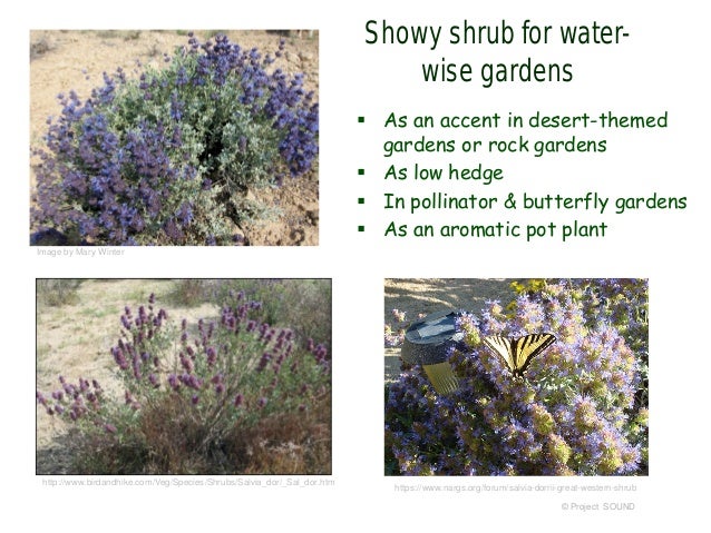 Téléchargement gratuit Images Container Gardens 2015 salutations