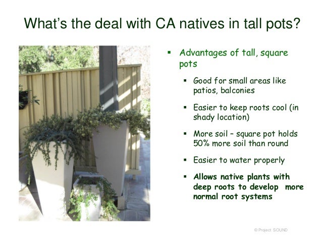Dwelling Cents Front Garden Ideas