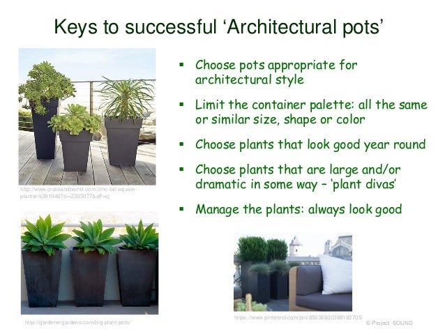 Living Livelier 5 Tips To Creating Beautiful Container Gardens