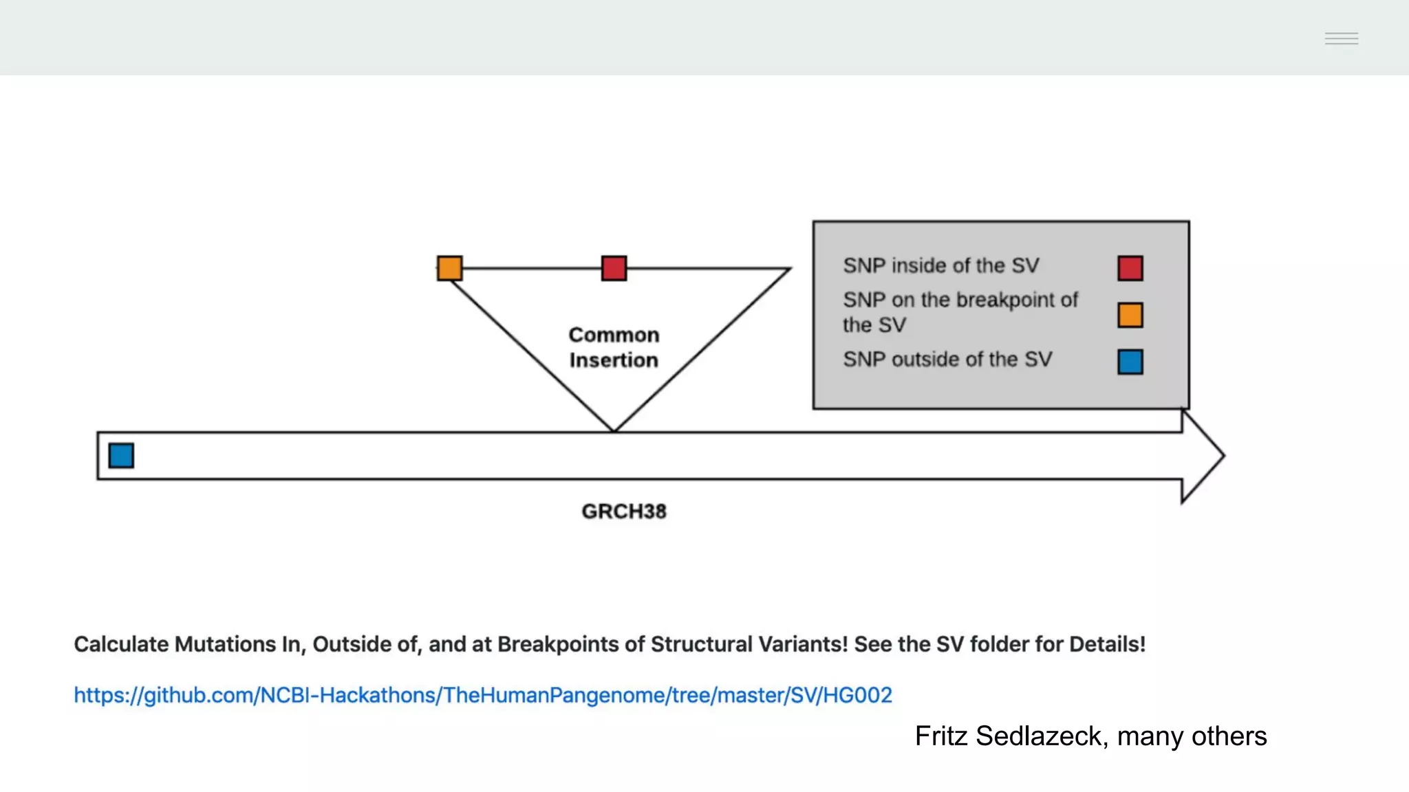Fritz Sedlazeck, many others
 