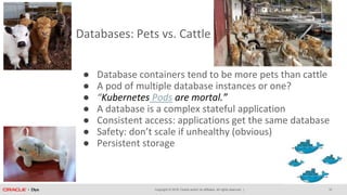 Copyright © 2018, Oracle and/or its affiliates. All rights reserved. |
Databases: Pets vs. Cattle
10
● Database containers tend to be more pets than cattle
● A pod of multiple database instances or one?
● “Kubernetes Pods are mortal.”
● A database is a complex stateful application
● Consistent access: applications get the same database
● Safety: don’t scale if unhealthy (obvious)
● Persistent storage
 