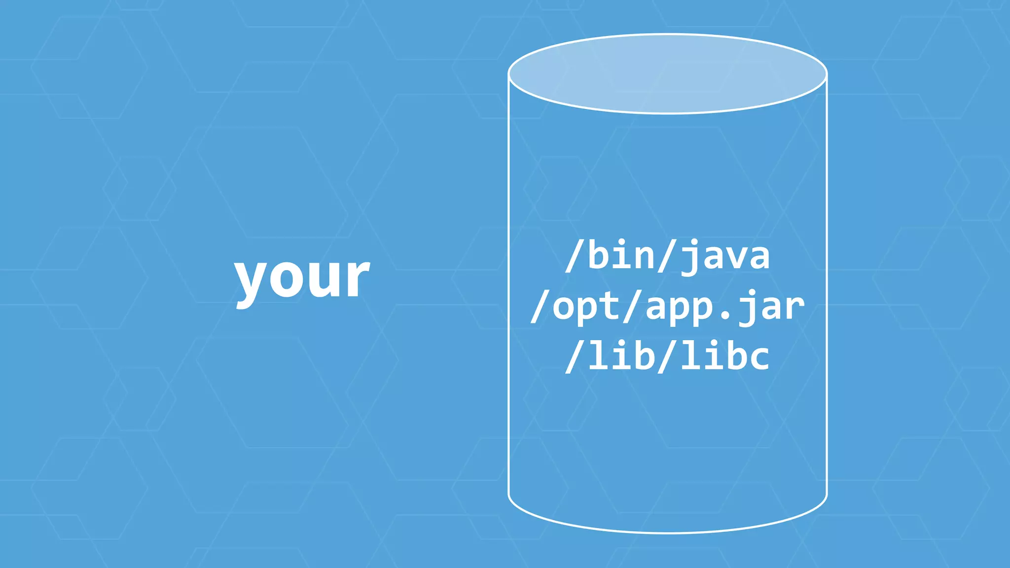 your /bin/java
/opt/app.jar
/lib/libc
 