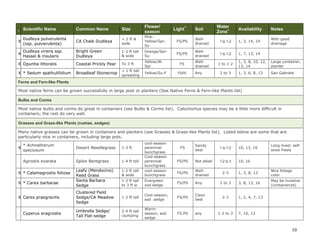 10
I
Scientific Name Common Name Size
Flower/
season
Light**
Soil
Water
Zone+ Availability Notes
* Dudleya farinosa Bluff Lettuce
1 ft tall &
wide
Yellow-red/
Sp
FS Rocks 1-2 11, 13, 20
good in stone
walls; white
foliage
X Dudleya lanceolata Lance-leaf Dudleya
1-2 ft tall
& wide
Yellow-
Orange/Spr-
Su
FS/PS
Well-
drained
1 to 1-2
1, 7, 13, 14,
15
* Dudleya palmeri
Palmer's Live-
forever
To 1 ft
tall &
wide
Yellow-red/
Sp
PS
Well-
drained
1 to 2 1, 13
Santa Monica
Mtns; slopes
X
Dudleya pulverulenta
(ssp. pulverulenta)
CA Chalk Dudleya
< 2 ft &
wide
Pink-
Yellow/Spr-
Su
FS/PS
Well-
drained
1 to 1-2 1, 3, 14, 19
With good
drainage
X
Dudleya virens ssp.
Hassei & insularis
Bright Green
Dudleya
1-2 ft tall
& wide
Orange/Spr-
Su
FS/PS
Well-
drained
1 to 1-2 1, 7, 13, 14
X Opuntia littoralis Coastal Prickly Pear To 3 ft
Yellow/W-
Spr
FS
Well-
drained
1 to 1-2
1, 3, 8, 10, 12,
13, 14
Large container,
planter
X * Sedum spathulifolium Broadleaf Stonecrop
< 1 ft tall
spreading
Yellow/Su-F FS/PS Any 2 to 3 1, 3, 6, 8, 13 San Gabriels
X * Yucca baccata Banana yucca
3-5+ ft t.
3-5+ ft w
White/Sp FS/PS
Well-
drained
1-2
2, 6, 8, 16, 24,
44
Edible fruits
Ferns and Fern-like Plants
Most native ferns can be grown successfully in large post or planters (See Native Ferns & Fern-like Plants list)
Bulbs and Corms
Most native bulbs and corms do great in containers (see Bulbs & Corms list). Calochortus species may be a little more difficult in
containers; the rest do very well.
Grasses and Grass-like Plants (rushes, sedges)
Many native grasses can be grown in containers and planters (see Grasses & Grass-like Plants list). Listed below are some that are
particularly nice in containers, including large pots.
X
* Achnatherum
speciosum
Desert Needlegrass 1-3 ft
cool-season
perennial
bunchgrass
FS
Sandy
best
1 to 1-2 10, 13, 16
Long-lived; self-
sows freely
Agrostis exarata Spike Bentgrass 1-4 ft tall
Cool-season
perennial
bunchgrass
FS/PS Not alkali 1-2 to 3 10, 16
 