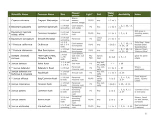 11
I
Scientific Name Common Name Size
Flower/
season
Light**
Soil
Water
Zone+ Availability Notes
X * Calamagrostis foliosa
Leafy (Mendocino)
Reed Grass
1-2 ft tall
& wide
cool-season
bunchgrass
FS/PS
Well-
drained
2-3 1, 3, 8, 13
Nice foliage
color
X * Carex barbarae
Santa Barbara
Sedge
1-2 ft tall
to 3 ft w
Evergreen
sod sedge
FS/PS Any 2 to 3 3, 8, 13, 16
May be invasive
(containerize)
X Carex praegracilis
Clustered Field
Sedge/CA Meadow
Sedge
1-2 ft tall
Cool-season,
sod sedge
FS/PS
Clays
best
2-3 1, 2, 4, 7, 13
Cyperus eragrostis
Umbrella Sedge/
Tall Flat-sedge
2-4 ft tall
clumping
Warm-
season, sod
sedge
FS.PS any 1-2 to 3 7, 10, 13
Cyperus odoratus Fragrant Flat-sedge 1-3 ft tall
Warm-
season,
annual sedge
FS/PS any 1-2 to 3 ?
X Eleocharis palustris Common Spikerush
1-2 ft tall
spreading
Cool-season,
sod sedge
FS Any 1-2 to 3
1, 2, 7, 10, 13,
16
X
Equisetum hyemale
subsp. affine
Common Horsetail
2-4 ft tall
1-6 ft w
Perennial
rush
FS/PS Any 2-3 to 3 2, 3, 4, 8
Will grow in
standing water;
contain
X Equisetum laevigatum Smooth Horsetail
2-5 ft tall
spreading
Perennial FS
Clays
best
2-3 to 3 8
X * Festuca californica CA Fescue
<1-2 ft
tall 1-3 ft
wide
Cool-season
bunchgrass
FS/PS any 1-2 to 2-3
1, 5, 7, 10, 13,
14, 16, 19
‘Phil’s Silver’, 'Horse
Mountain Green',
'Serpentine Blue'
X * Festuca idahoensis Blue Bunchgrass
< 1 ft tall
& wide
Cool-season
bunchgrass
FS/PS any 2 to 3
1, 5, 7, 10, 13,
16, 19, 20
‘Warren Peak’,
‘Siskiyou Blue’
X
Isolepis (Scirpus)
cernuus
Fiber Optic Grass;
Miniature Tule
1 ft tall
1-2 ft
wide
Cool-season,
sod rush; cut
back in
winter
PS/
FSH
Sandy
best
2-3 to 3 3, 4, 13
good for pond
edges
X Juncus balticus Baltic Rush
1-3 ft tall
1-2 ft w.
Sod rush FS
Any incl.
alk./salty
2-3 3, 16
X * Juncus bolanderi Bolander’s Rush 1-2 ft tall
Perennial
rhizome rush
FS
Any incl.
salty
2-3 to 3 1, 13
Showy
seedheads
X
Juncus bufonius var
bufonius & congesta
Toad Rush
< 1 ft tall
& wide
Annual rush FS
Any incl.
salty
1-2 to 3 10, 16
X * Juncus effusus Bog/Common Rush
1-3 ft tall
& wide
Perennial
rhizome rush
FS/PS
Any;
sandy
best
1-2 to 3
1, 3, 4, 7, 8,
13, 14
Good around
pools; ‘Quartz
Creek’
 