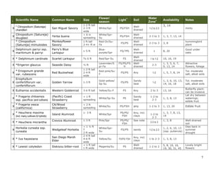 7
I
Scientific Name Common Name Size
Flower/
season
Light**
Soil
Water
Zone+ Availability Notes
X
* Armeria maritima
ssp. californica
CA Sea Thrift
(Pinks)
< 1 ft tall
& wide
Pink/Sp PS most 2 to 3 5, 6, 8, 13, 24
Best along
coast; pretty
X * Aquilegia formosa Western Columbine 1-2 ft
Red-
yellow/Su
PS/FSH
Well-
drained
2 to 3
1, 3, 5, 13, 14,
16, 19, 20
X Asclepias fascicularis
Narrow-leaf
Milkweed
2-3 ft
Cream-
pink/Su
FS/PS Sandy 1-2 1, 3, 10, 14
Needs seasonal
flooding
X
* Clinopodium (Satureja)
chandleri
San Miguel Savory
1-2 ft tall
2-3 ft
wide
White/Spr PS/FSH
Well-
drained
1-2 to 2-3
3, 14
minty
X
Clinopodium (Satureja)
douglasii
Yerba buena
< 6 in
spreading
White/Spr-
Su
PS/FSH
Well-
drained
2-3 to 3 1, 3, 7, 13, 14
* Clinopodium
(Satureja) mimuloides
Monkeyflower
Savory
1 ft tall
2-4+ ft w
Red-Or/Su-
Fa
FS/PS
Well-
drained
2-3 to 3 3, 8
hummingbird
plant
X
Delphinium parryi ssp.
maritimum & parryi
Parry’s Blue
Larkspur
1-5 ft
Blue-
purple/Spr
FS/?PS
Well-
drained
1 8, 20
Good under
oaks
X * Delphinium cardinale Scarlet Larkspur To 6 ft Red/Spr-Su FS
Well-
drained
1 to 1-2 10, 16, 19
X *Erigeron glaucus Seaside Daisy ½ ft
Lavernder/S
pr-Fa
FS/PS/FS
H
Well-
drained
2-3
1, 3, 5, 6, 7,
9, 13, 14
Attractive
flowers, foliage
X
* Eriogonum grande
var. rubescens
Red Buckwheat
1-2 ft tall
2-4 ft
wide
Red-pink/Su-
F
FS/PS Any 1-2 1, 5, 7, 8, 14
Tol. moderate
salt, alkali soils
X
Eriophyllum
confertiflorum var.
confertiflorum
Golden Yarrow 1-3 ft
Gold-yellow/
Sp-Su
FS/PS
Sandy
best
1-2
1, 3, 6, 10, 13,
14, 16, 18
Tol. moderate
salt, alkali soils
X Euthamia occidentalis Western Goldenrod 3-6 ft tall Yellow/Su-F FS Any 2 to 3 13, 16
Butterfly plant;
can be invasive
X
* Fragaria chiloensis
ssp. pacifica (and cultivars)
(Pacific) Coast
Strawberry
< 1 ft
spreading
White/Sp-Su PS
Sandy
best
1-2 to
2-3
1, 3, 8, 13
Let dry between
waterings;
edible fruit
X
* Fragaria vesca
(californica)
CA/Wood
Strawberry
< 2 ft
spreading
White/Su PS/FSH any 1-2 to 3 1, 13, 20 Edible fruit
X
* Heuchera maxima
(incl. many cultivars & hybrids)
Island Alumroot
1- 3 ft
White/Spr
PS/PS/
FSH
Any, incl.
clays
1-2 to
2-3
1, 3, 7, 8, 13,
14
X * Heuchera micrantha Crevice Alumroot 1-3 ft Pink/Spr
PS/PS/
FSH
See note 2-3 to 3 1, 3, 8
Well-drained
soil
 