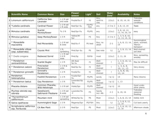 8
I
Scientific Name Common Name Size
Flower/
season
Light**
Soil
Water
Zone+ Availability Notes
X
Horkelia cuneata ssp.
cuneata
Wedgeleaf Horkelia
< 1 ½ ft t
2 ft wide
White/Spr-
Su
FS/PS sandy 1-2 to 2-3
1, 2, 6, 10, 13
(ssp. puberula)
Dies back in
summer
drought
X * Hosackia gracilis Harlequin lotus
< 1 ft tall
1-2 ft w.
Yellow-pink/
Sp
PS Any 2-3 to 3 5, 13, 19
Enchanting
flowers
X * Iva hayesiana
San Diego Marsh
Elder
2-4 ft tall
4-6 ft w
Yellow/Su FS/PS/ FSH
Any, incl.
clays
1 to 2-3 1, 3, 8, 13
X * Lewisii cotyledon Siskiyou bitter-root
< 1 ft tall
1 ft wide
Magenta/Su PS
Well-
drained
1-2 to 2
5, 8, 10, 16,
19, 30, 31, 45
Lovely bright
flowers
X Limonium californicum
California Sea-
Lavender
1-2 ft tall
and wide
Purple/Su-F FS
Any;
sand to
clay
2-3 to 3 8, 10, 14, 16
Tolerates
seaside
conditions
X *Lobelia cardinalis Cardinal Flower
1-2 ft tall
1 ft wide
Red/Spr-Su
FS/PS/
FSH
any 2-3 to 3 3, 8, 13, 19 Toxic
X Mimulus cardinalis
Scarlet
Monkeyflower
To 3 ft Red/Spr-Fa FS/PS any 2-3 to 3
3, 8, 10, 12,
13, 14, 16, 19
easy
X Mimulus guttatus Seep Monkeyflower 1-5 ft
Yellow/W-
Spr
FS Any 2-3 to 3
1, 3, 5, 8, 10,
12, 13, 14, 16
X
* Monardella
macrantha
Red Monardella
1-2 ft tall
& wide
Red/Su-F PS best
Any; no
alkali
2-3
1, 6, 8, 13, 14,
19
Hummingbird
plant; scented;
‘Marion
Sampson’
X
* Monardella villosa
(ssp. subserrata)
Coyote Mint
1 ft;
spreading
Pink/Spr-Su PS See note 1-2
1, 3, 8, 13, 14,
19
Well-drained
soil best
X * Oxalis oregana Redwood Sorrel
< 1 ft tall
2-4 ft
wide
Pink/Sp PS/FSH most 2-3 to 3 2, 11, 24
Nice, spreading,
woodsy
* Penstemon
centranthifolius
Scarlet Bugler 1-3 ft
OR-Red/
Sp-Su
FS
Well-
drained
1
1, 3, 8, 10, 12,
13, 14
May be difficult
X * Penstemon eatonii
Firecracker
Penstemon
1-3 ft &
wide
Red/Sp-Su FS
Well-
drained
1
1, 3, 6, 8,
10, 11, 13
Very showy
X * Penstemon grinnellii
Grinnell’s
Penstemon
1-2 ft Purple/Su FS
Well-
drained
1
1, 6, 8, 10,
13, 14
X
Penstemon
heterophyllus
Foothill Penstemon 1-2 ft
Purple/Spr-
Su
FS/PS sandy 1 to 1-2 14 Many blooms
X * Penstemon laetus Gay Penstemon 1-3 ft
Lavender/Sp
-Su
FS/PS
Well-
drained
1 to 1-2 1, 13
Phacelia distans
Common Phacelia;
Wild Heliotrope
1-2 ft tall Violet/Spr FS/PS
Well-
drained
1 to 1-2 10
Good under
other plants
 