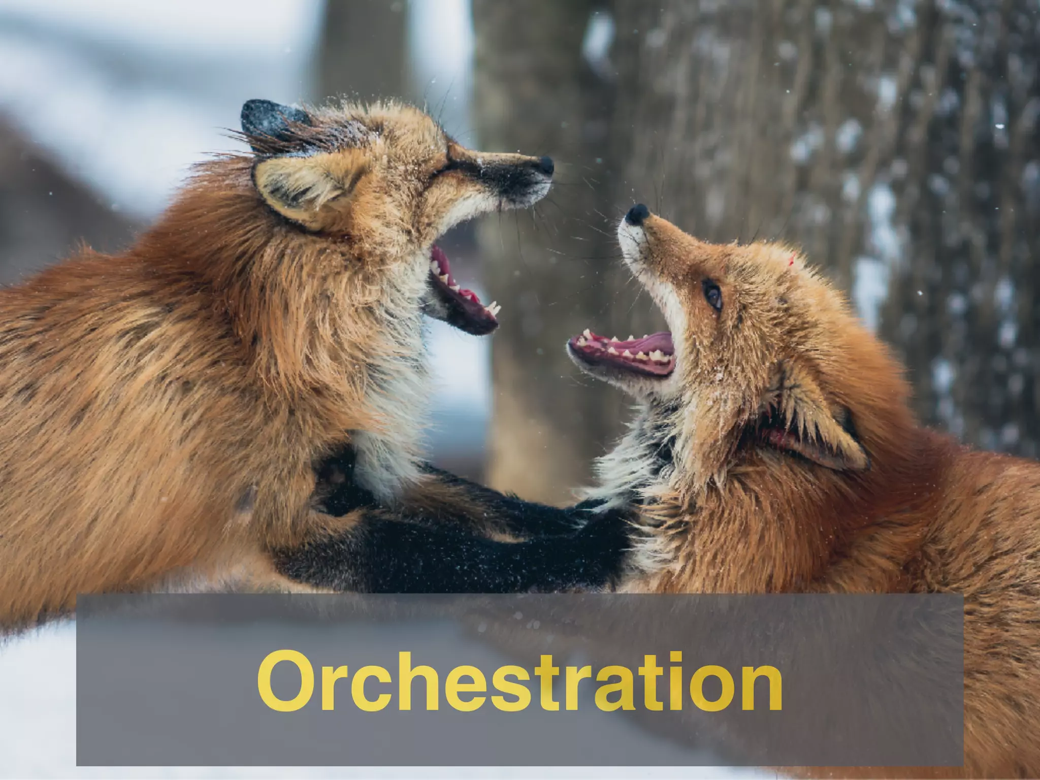 Orchestration
 