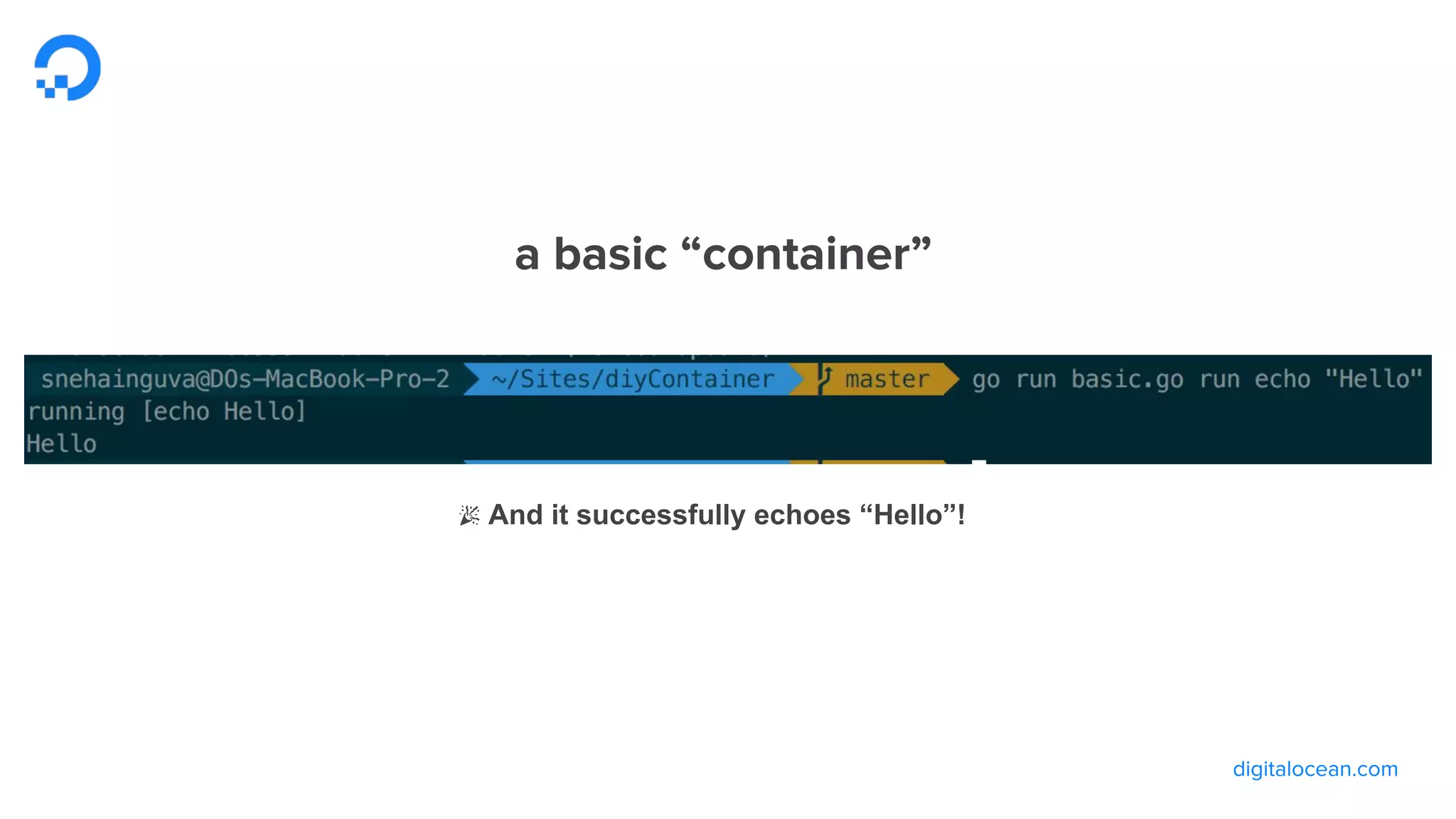 🎉 And it successfully echoes “Hello”!
 