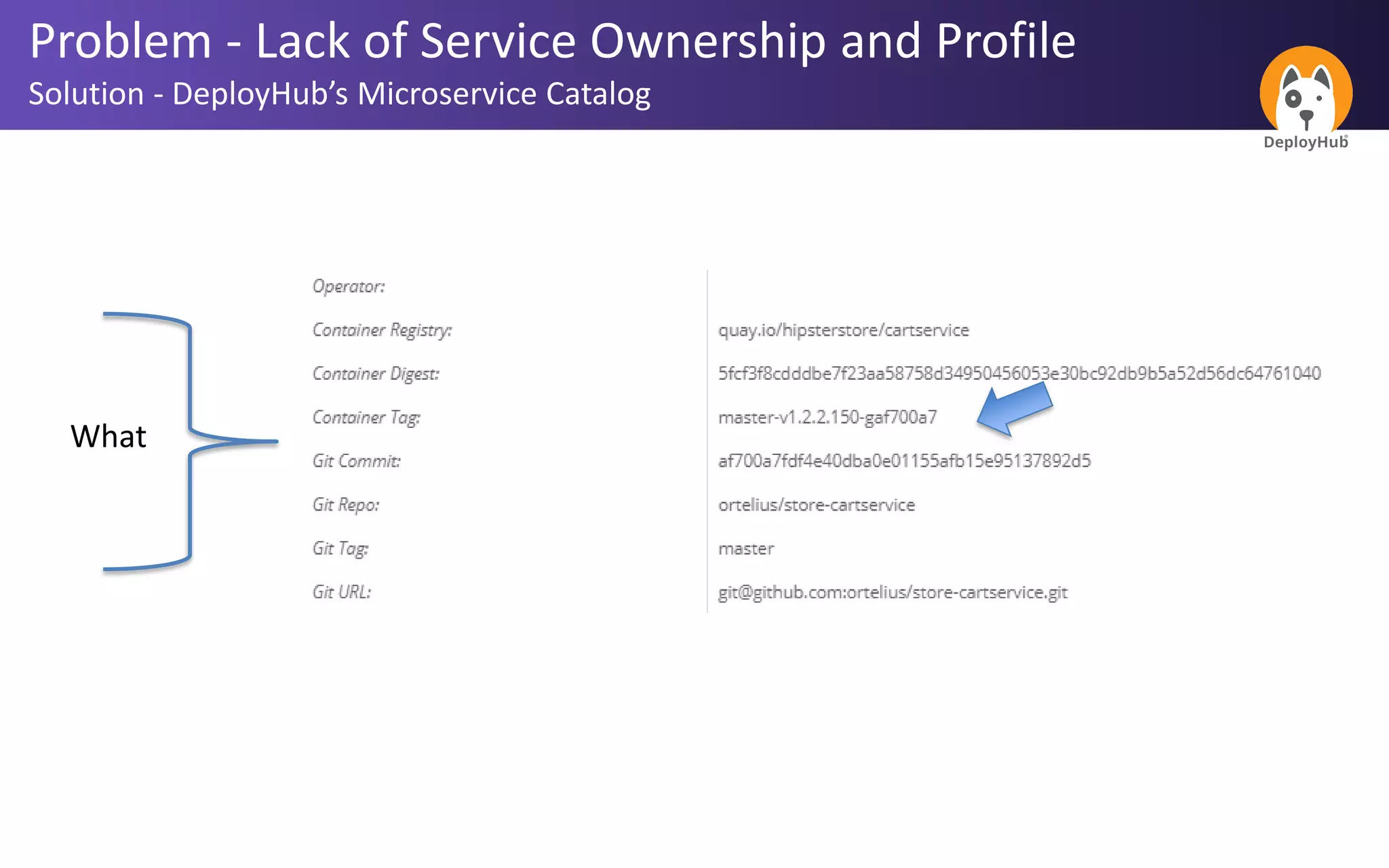 What
Problem - Lack of Service Ownership and Profile
Solution - DeployHub’s Microservice Catalog
 