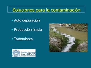 Soluciones para la contaminación

 Auto depuración

 Producción limpia

 Tratamiento
 