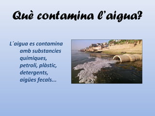 Què contamina l’aigua?
L´aigua es contamina
amb substancies
químiques,
petroli, plàstic,
detergents,
aigües fecals...
 