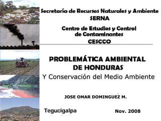JOSE OMAR DOMINGUEZ M.
Tegucigalpa Nov. 2008
Y Conservación del Medio Ambiente
 
