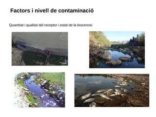 Factors i nivell de contaminació
Quantitat i qualitat del receptor i estat de la biocenosi
 