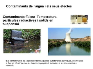 Contaminants de l'aigua i els seus efectes
Els contaminants de l'aigua són totes aquelles substàncies químiques, éssers vius
o formes d'energia que es troben en proporció superiors a les considerades
normals
Contaminants físics: Temperatura,
partícules radiactives i sòlids en
suspensió
 