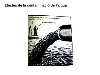 Efectes de la contaminació de l'aigua
 