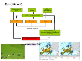 Eutrofització
 