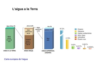 L'aigua a la Terra
Carta europea de l'aigua
 