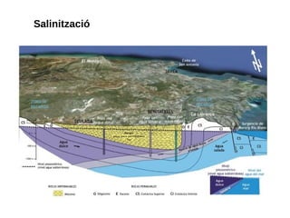 Salinització
 