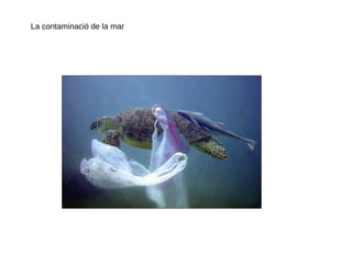 La contaminació de la mar
 