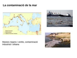 La contaminació de la mar
Marees negres i vertits, contaminació
industrial i urbana
 