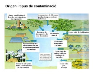 Origen i tipus de contaminació
 