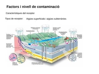 Factors i nivell de contaminació
Característiques del receptor
Tipus de receptor: Aigües superficials i aigües subterrànies
 