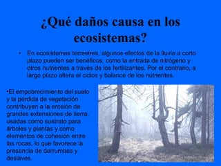 ¿Qué daños causa en los
ecosistemas?
• En ecosistemas terrestres, algunos efectos de la lluvia a corto
plazo pueden ser benéficos, como la entrada de nitrógeno y
otros nutrientes a través de los fertilizantes. Por el contrario, a
largo plazo altera el ciclos y balance de los nutrientes.
•El empobrecimiento del suelo
y la pérdida de vegetación
contribuyen a la erosión de
grandes extensiones de tierra,
usadas como sustrato para
árboles y plantas y como
elementos de cohesión entre
las rocas, lo que favorece la
presencia de derrumbes y
deslaves.
 