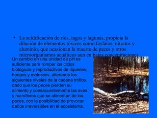 • La acidificación de ríos, lagos y lagunas, propicia la
dilución de elementos tóxicos como fosfatos, nitratos y
aluminio, que ocasionan la muerte de peces y otros
microorganismos acuáticos aun en bajas concentraciones.
Un cambio en una unidad de pH es
suficiente para romper los ciclos
biológicos y reproductivos de líquenes,
hongos y moluscos, alterando los
siguientes niveles de la cadena trófica,
dado que los peces pierden su
alimento y consecuentemente las aves
y mamíferos que se alimentan de los
peces, con la posibilidad de provocar
daños irreversibles en el ecosistema.
 