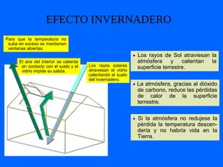 EFECTO INVERNADERO
Los rayos solares
atraviesan el vidrio
calentando el suelo
del invernadero.
El aire del interior se calienta
en contacto con el suelo y el
vidrio impide su salida.
Para que la temperatura no
suba en exceso se mantienen
ventanas abiertas.
• Los rayos de Sol atraviesan la
atmósfera y calientan la
superficie terrestre.
• La atmósfera, gracias al dióxido
de carbono, reduce las pérdidas
de calor de la superficie
terrestre.
• Si la atmósfera no redujese la
pérdida la temperatura descen-
dería y no habría vida en la
Tierra.
 