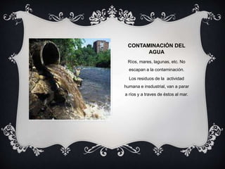 CONTAMINACIÓN DEL
AGUA
Ríos, mares, lagunas, etc. No
escapan a la contaminación.
Los residuos de la actividad
humana e insdustrial, van a parar
a ríos y a traves de éstos al mar.
 