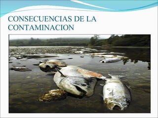 CONSECUENCIAS DE LA CONTAMINACION 