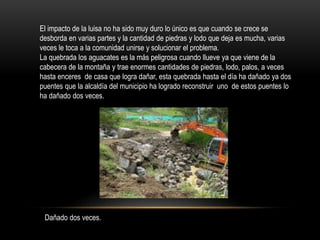 El impacto de la luisa no ha sido muy duro lo único es que cuando se crece se
desborda en varias partes y la cantidad de piedras y lodo que deja es mucha, varias
veces le toca a la comunidad unirse y solucionar el problema.
La quebrada los aguacates es la más peligrosa cuando llueve ya que viene de la
cabecera de la montaña y trae enormes cantidades de piedras, lodo, palos, a veces
hasta enceres de casa que logra dañar, esta quebrada hasta el día ha dañado ya dos
puentes que la alcaldía del municipio ha logrado reconstruir uno de estos puentes lo
ha dañado dos veces.
Dañado dos veces.
 