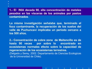 1.- El  INIA decada 90, alta concentración de metales pesados en las vísceras de los animales por pastos contaminados . La misma investigación señalaba que, terminado el foco contaminante, la recuperación de los suelos del valle de Puchuncaví implicaba un período cercano a los 500 años.   2.- Concentración  de cobre zona  de Maitencillo es de hasta 90 veces  por sobre lo  encontrado en ecosistemas normales efecto sobre la capacidad de regeneración de los ecosistemas terrestres.  (Delgado y Serey, 2002. Departamento de Ciencias Ecologicas  de la Universidad de Chile).  