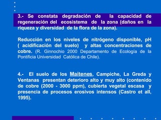 3.- Se constata degradación de  la capacidad de regeneración del  ecosistema  de  la zona (daños en  la riqueza y diversidad  de la flora de la zona). Reducción en los niveles de nitrógeno disponible, pH ( acidificación del suelo)  y altas concentraciones de cobre.  (R. Ginnochio 2000 Departamento de Ecología de la Pontificia Universidad  Católica de Chile). 4.-  El suelo de los  Maitenes , Campiche, La Greda y Ventanas  presentan deterioro alto y muy alto (contenido de cobre (2000 - 3000 ppm), cubierta vegetal escasa  y presencia de procesos erosivos intensos (Castro et all, 1995).   