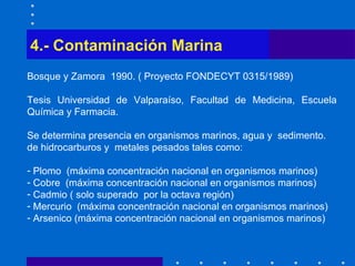 4.- Contaminación Marina Bosque y Zamora  1990. ( Proyecto FONDECYT 0315/1989)  Tesis Universidad de Valparaíso, Facultad de Medicina, Escuela Química y Farmacia. Se determina presencia en organismos marinos, agua y  sedimento. de hidrocarburos y  metales pesados tales como: Plomo  (máxima concentración nacional en organismos marinos) Cobre  (máxima concentración nacional en organismos marinos) Cadmio ( solo superado  por la octava región)  Mercurio  (máxima concentración nacional en organismos marinos) Arsenico (máxima concentración nacional en organismos marinos) 